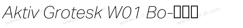 Aktiv Grotesk W01 Bo字体转换
